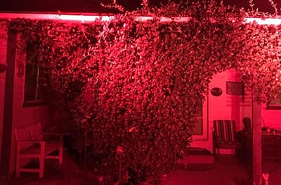 Reno RedAlertRESTART House